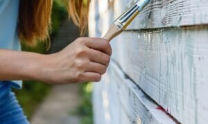 eco-friendly paint