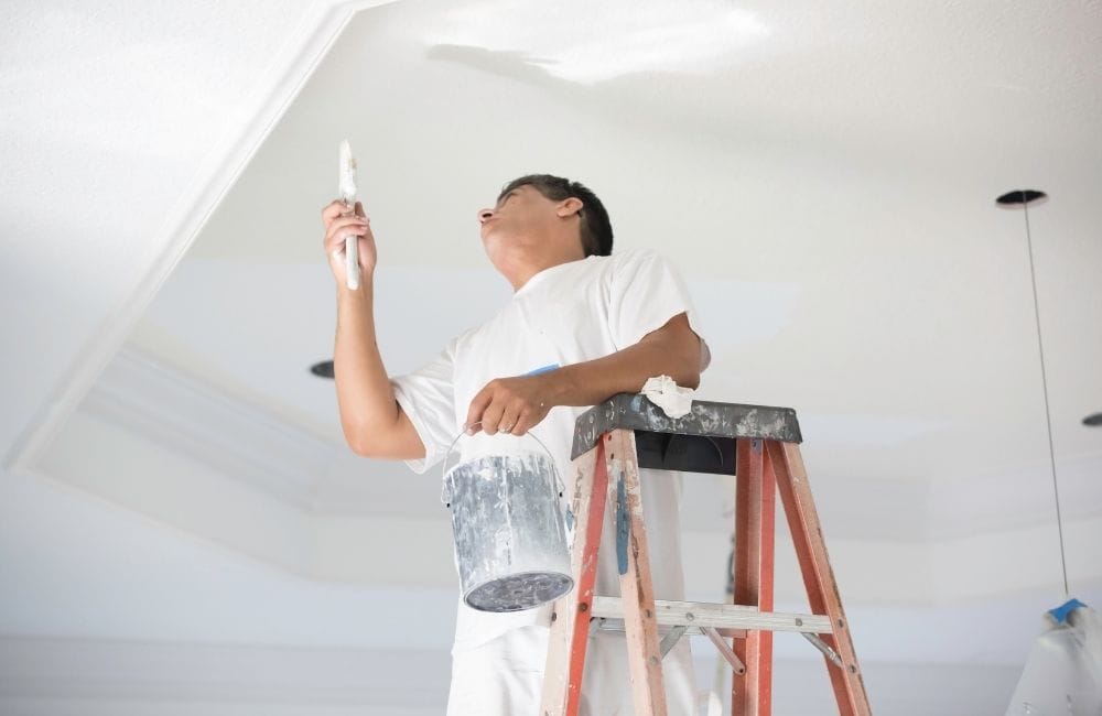 professional painting ceiling